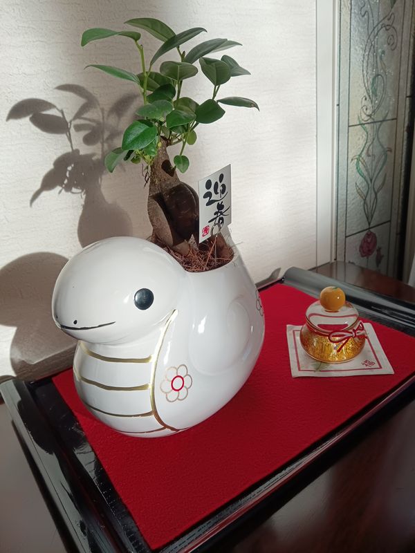 あけましておめでとうございます♪